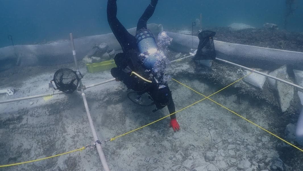 European Archaeology Days – Salina Bay Excavation